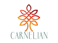 Carnelian Asset Management and  Advisors Pvt Ltd